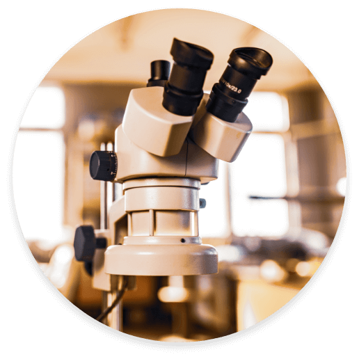 Electron microscope