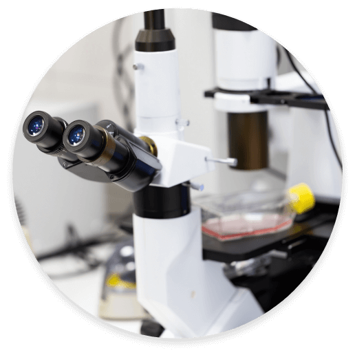 Interference microscope